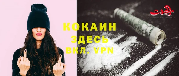 твердый Алзамай