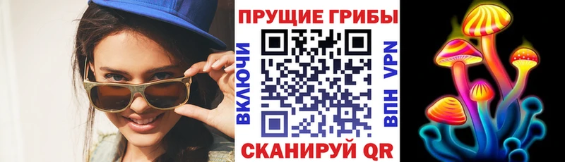 mega ссылки  как найти закладки  Катав-Ивановск  Галлюциногенные грибы Psilocybe 